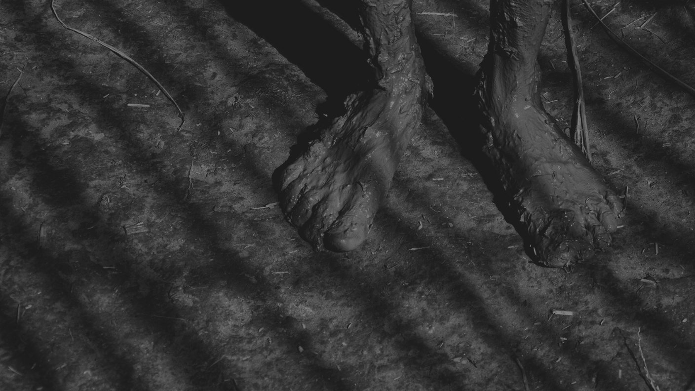 Explore Shape, Form, Texture